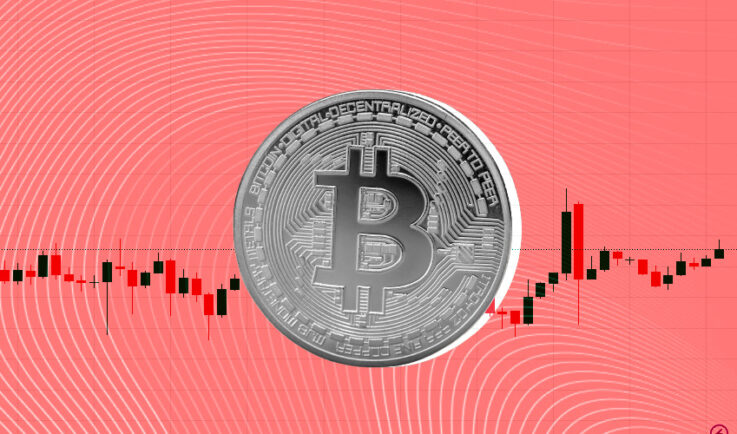 The Role of Coin Insights in Cryptocurrency Trading Strategies